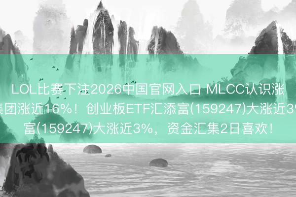 LOL比赛下注2026中国官网入口 MLCC认识涨幅进一步扩大，三环集团涨近16%！创业板ETF汇添富(159247)大涨近3%，资金汇集2日喜欢！