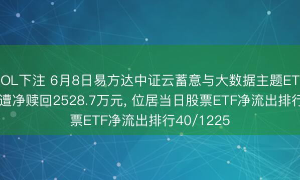 LOL下注 6月8日易方达中证云蓄意与大数据主题ETF(516510)遭净赎回2528.7万元， 位居当日股票ETF净流出排行40/1225