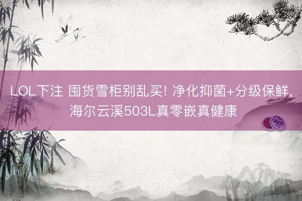 LOL下注 囤货雪柜别乱买! 净化抑菌+分级保鲜， 海尔云溪503L真零嵌真健康