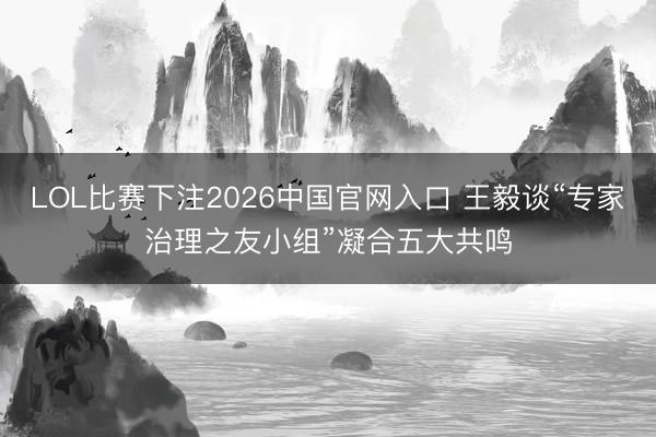 LOL比赛下注2026中国官网入口 王毅谈“专家治理之友小组”凝合五大共鸣